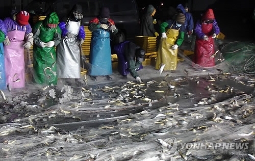 ��ƹϤ��G�٦{������ì�p�����]���p���^