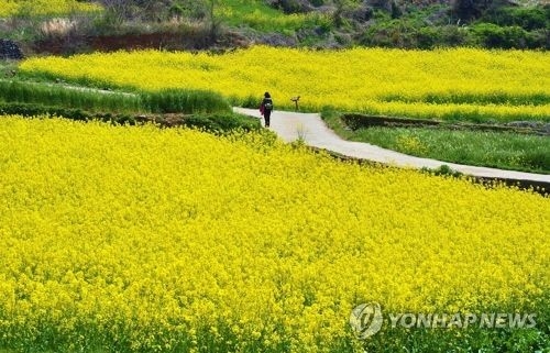 �լd�G10������P���T�������p���X�C - 1