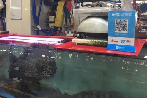 ���Ǩ䥫���@�Ӥ�䴩��I�_���X�I�ڡC�]���p��/�y�s���ϬF�����ѡ^