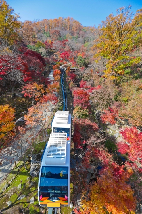 11�몺�@�ѡA������y�C����L�����G�D�C�]���p���O�̦��t�b��^