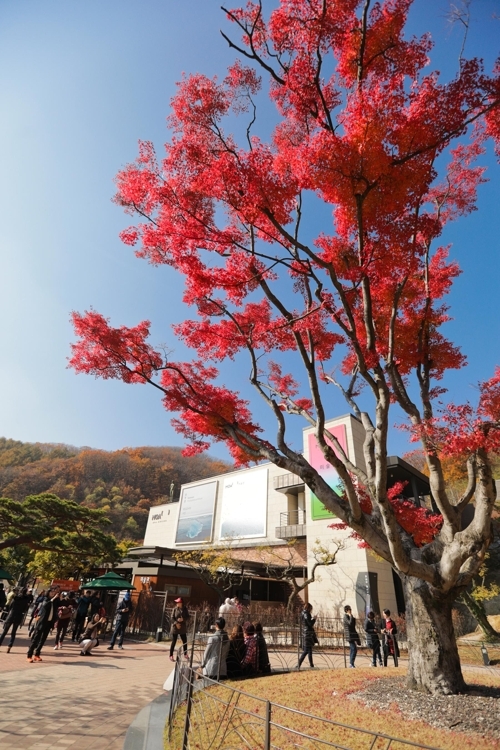 �Ѥѥj������i�������C�]���p���O�̦��t�b��^