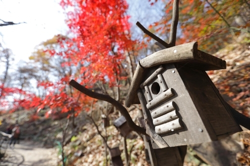 �L���H�B�i���ɤH�p���C(���p���O�̦��t�b��^