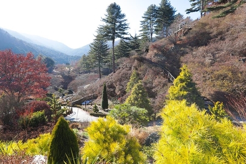 �Y�H���C�A���ު����R����]���p���O�̦��t�b��^