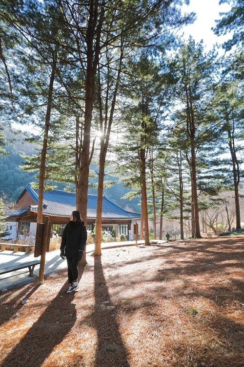 �M�D�P�|�������R���餺���]���p���O�̦��t�b��^