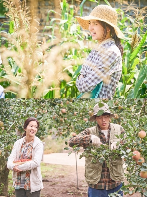 �m�p�˪L�n�@�ӡ]���p��/MEGABOX PLUSM���ѡ^