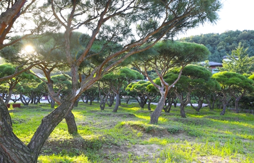 �b�����p�ɬu�����@����D�W�A���R���Q��^�����ޡC�]���p���O�̦��t�b�^