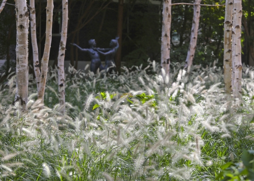 �e�Y�e���վ�L�M������]���p���O�̦��t�b�^