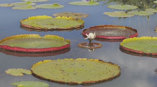 �������}�C�]���p���O�̦��t�b��^