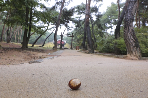 ���b�褭�������ߤl�]���p���O�̦��t�b��^