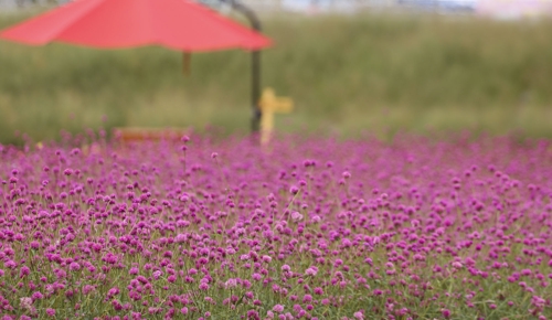 �d������U����߮��ءC�]���p���O�̦��t�b��^