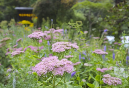 �������A�I��J�w�C�]���p���O�̦��t�b��^