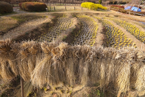 ��L�᪺�g�A��С]���p���O�̦��t�b��^