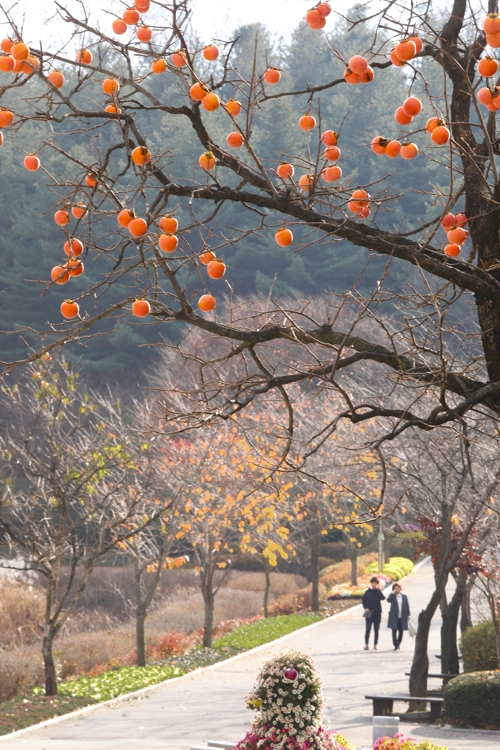 �U�l��E���F���z���G��C�]���p���O�̦��t�b��^