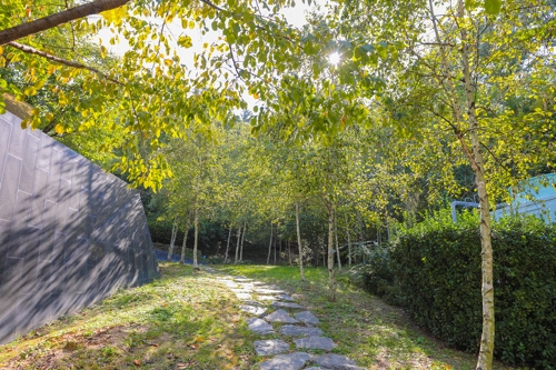 ���N���ߥk�䪺���L���|�q�աC�]���p���O�̦��t�b��^