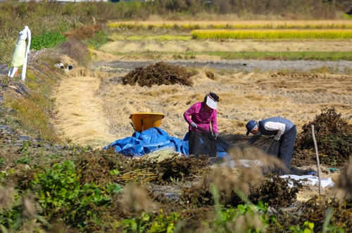 ���L�Y�{�X����Ϯɬݨ쪺���Υ��o���ѭǤf�]���p���O�̦��t�b��^