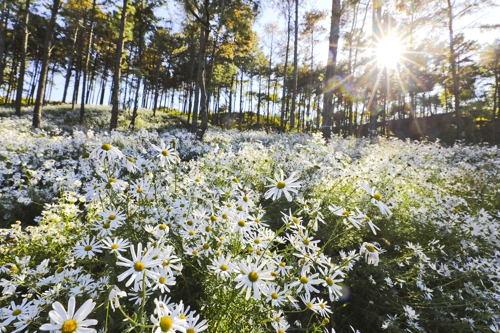 ���a���]���p���O�̦��t�b��^