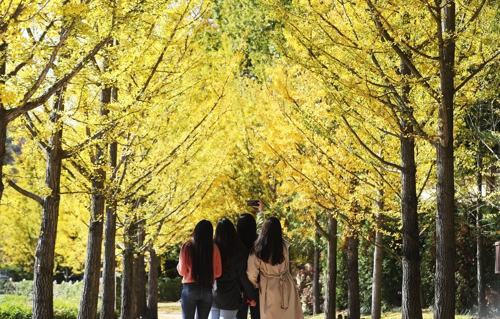 �C�ȭ̦b�R�_�ֶ�����骺�ȧ���U���C�]���p���^