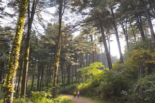 ���F�s���Q����顨�{�B���]���p���O�̦��t�b��^