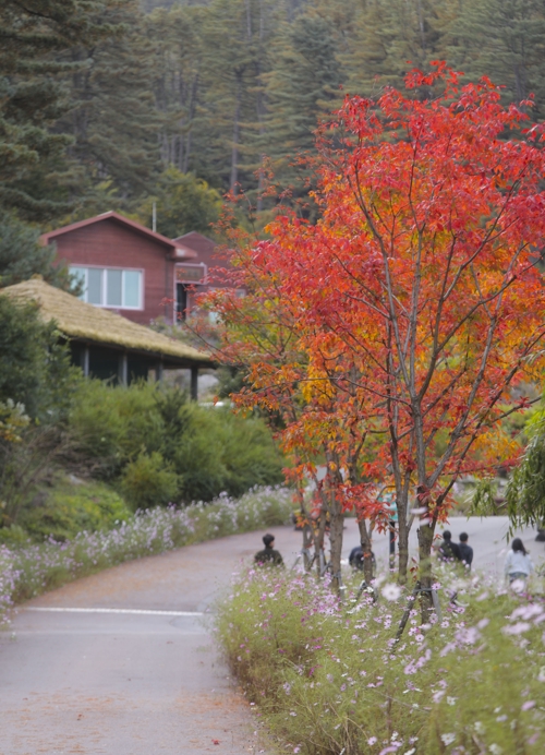 �C�Ȩ��i���Q����顨�ѥ[���笡�ʡC�]���p���O�̦��t�b��^