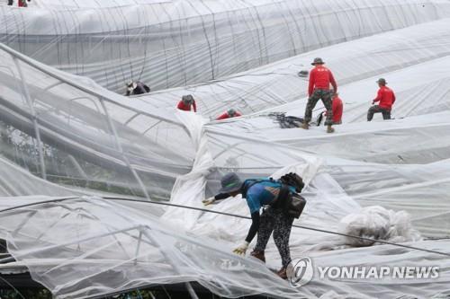 ��ƹϤ��G���x���Զ��h�L�ѻP�a�᭫�ؤu�@ ���p��