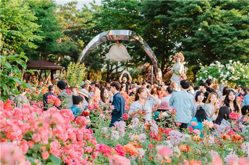 資料圖片:首爾玫瑰節 韓聯社/首爾市供圖(圖片嚴禁轉載複製)