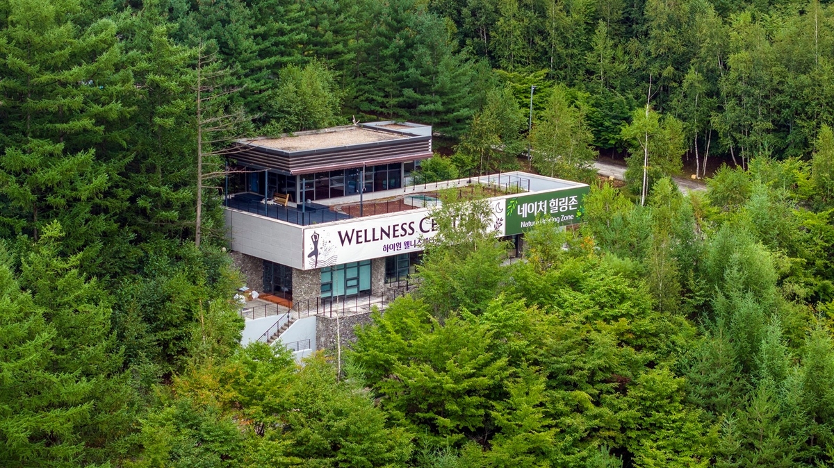 하이원 웰니스센터 네이처힐링존