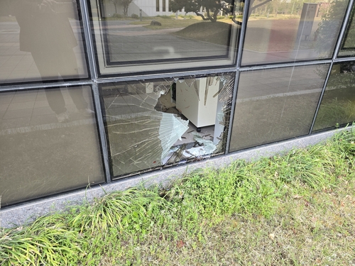 세종시 아파트 주변 멧돼지 2마리 출몰�K상가·기숙사 유리 파손(종합)