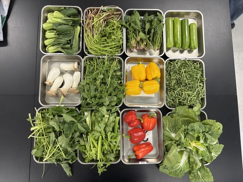 서울시, 봄나물·제철 농산물 잔류농약 검사�K98.6% '적합'