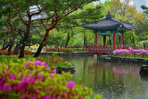 뚝섬·보라매공원부터 서울식물원까지�K도심서 즐기는 봄꽃