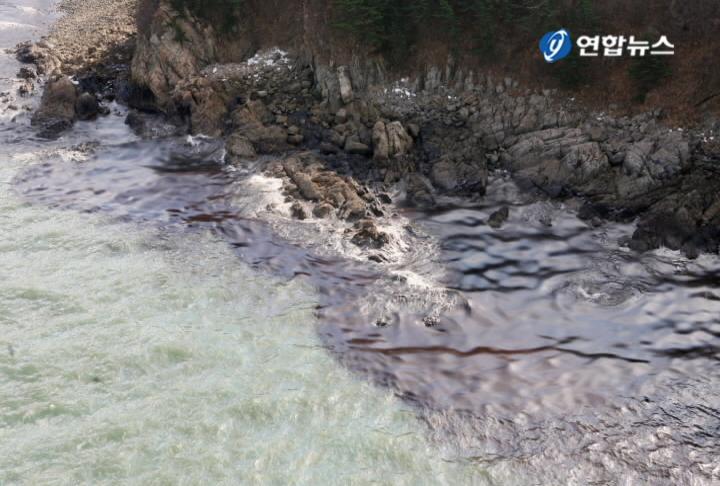 �o���л\��Ӯ��w�a�� �K�d�h������������