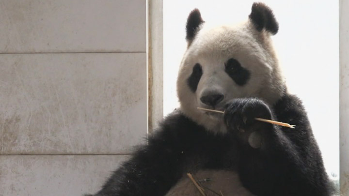 �����ذe���@�ﺵ��3�����4�뤽�}�G��