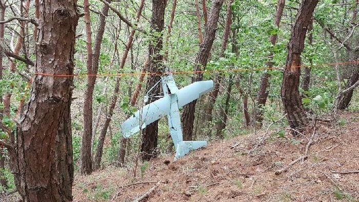 ���x�G�æ��­x�L�H����ϰ��d�ļw���p�a