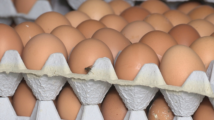 ���˥X���r���J�����J���i�޳��W��45�B