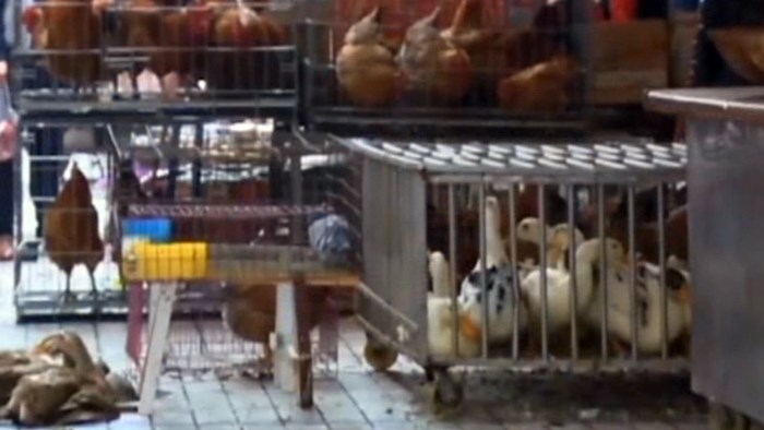 ���åͳ��������u�عC���קK��Ĳ�a�V�`�N�V�y�P