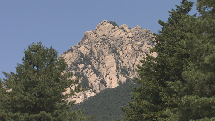 ���¤��ҹ����s�f�ή`�a��