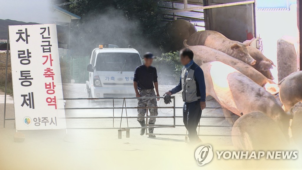 南韓向朝鮮通報非洲豬瘟疫情提議聯合防疫 - 1
