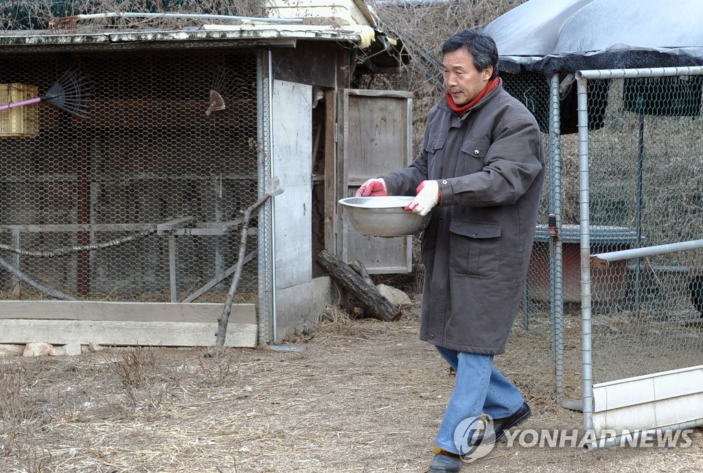 닭모이 나르는 손학규 전 대표