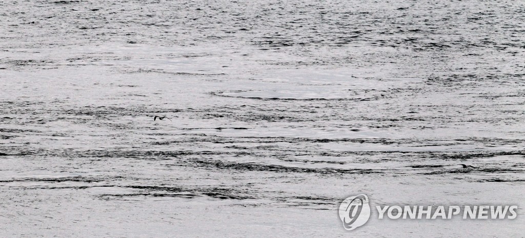 잔잔한 바다사이 급한 조류