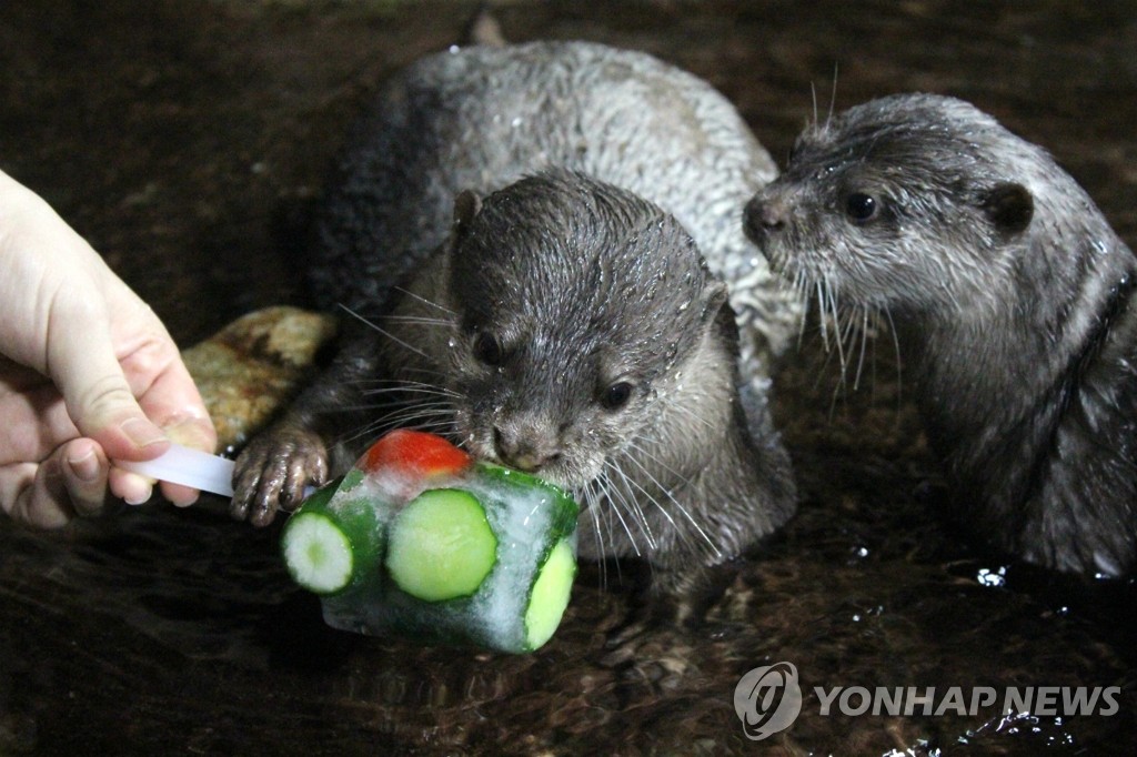 �ڭ̨��I�B�������I