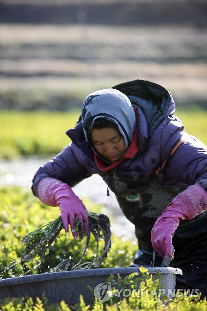 �K�Ѩ�F�A������צ��F