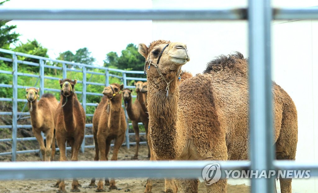 ���٦{�q�d�m�Q�j��