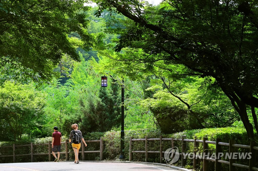 �n�s�����