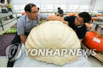 245���筫���j�n��