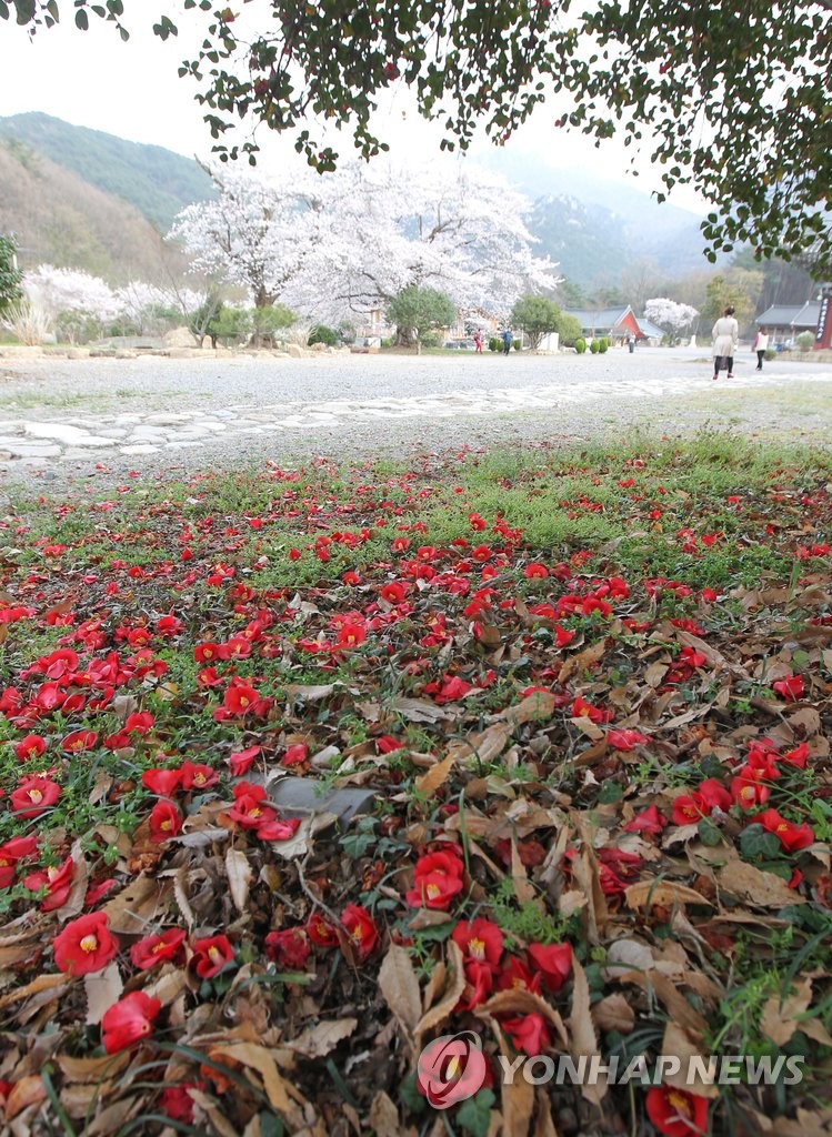 ���Ḩ�a ��Ჱ�}