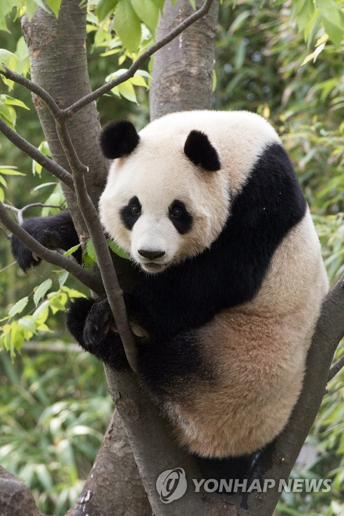 ��������j���ߡ��R�_��