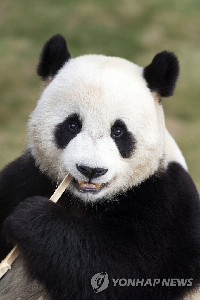 ���R�_���Y�N�V�����}��