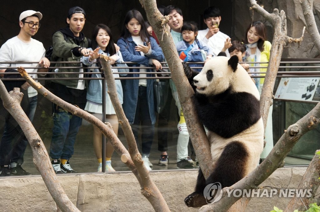 �����_���W��