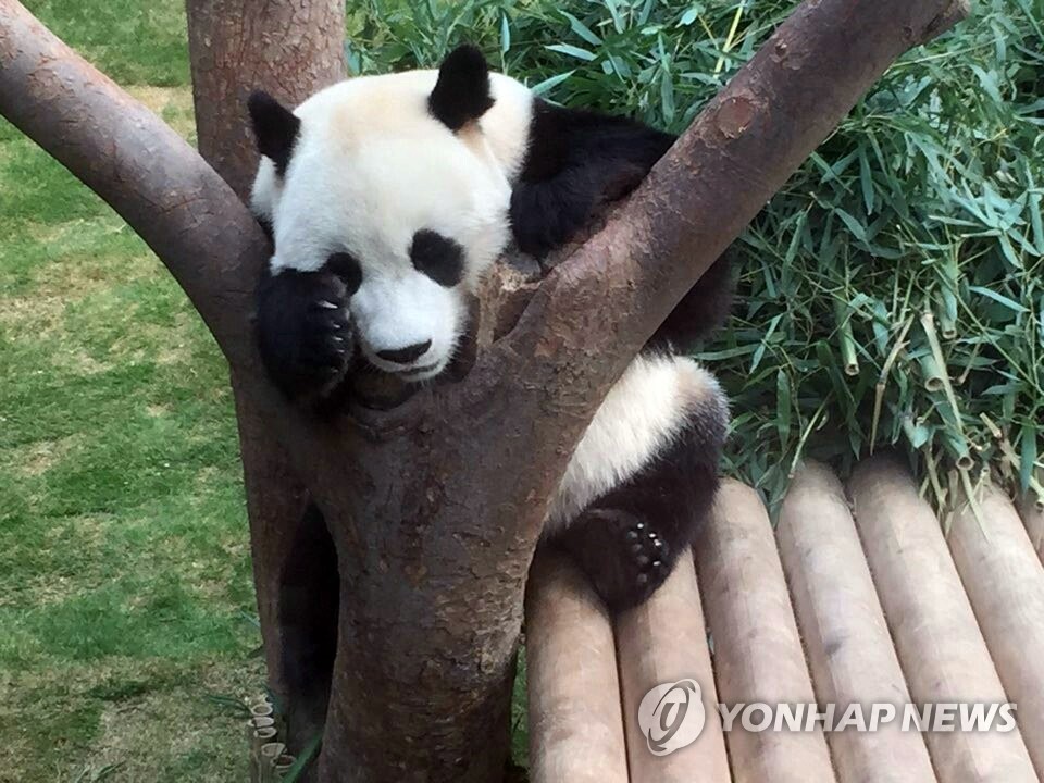 �����_���޵���