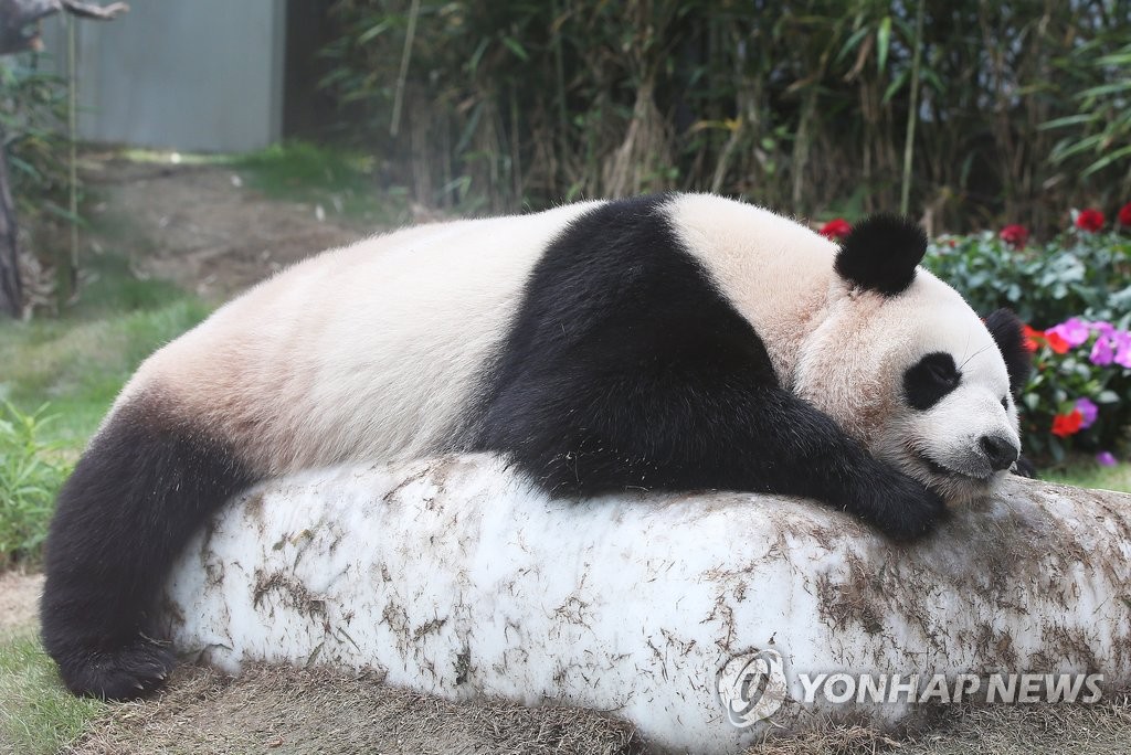 ���R�_�������ɨ���ı