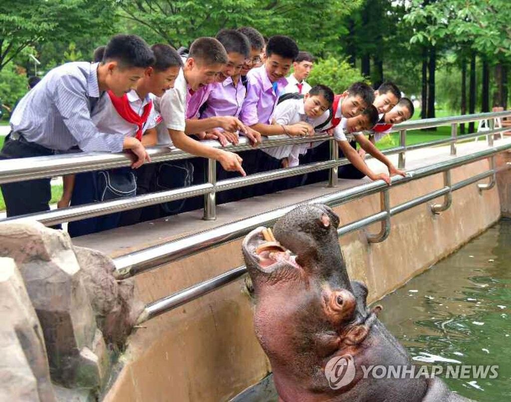 ���A���[�����ʪ��鵤�u